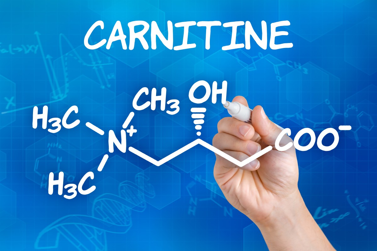L-Carnitin, was steckt dahinter? - Sport-Attack - Das Sportportal