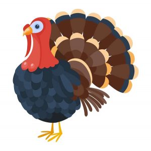 Cute cartoon turkey vector illustration. Cartoon turkey isolated on background. Turkey, bird, farm bird animal. Vector turkey farm animal. Cute turkey vector illustration. Turkey vector isolated